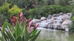 User Profile: AliaLovesLife