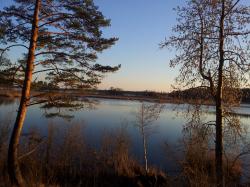 Profile: meRidee