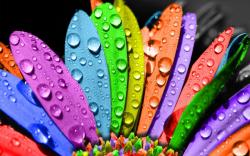 User Profile: Springtyme