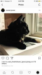 User Profile: CometJones