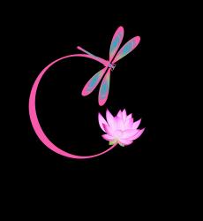User Profile: LotusDragonfly