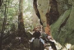 Profile: mountainman5