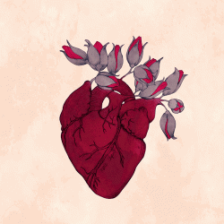 User Profile: alivehope