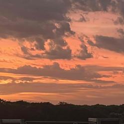 User Profile: Sunrise110