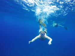 User Profile: SwimmingWithWhales