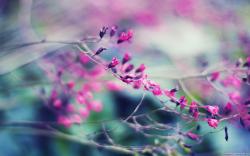 User Profile: BeautifulWhisper21