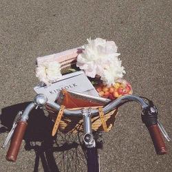 User Profile: ObservesHumanity