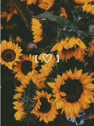 User Profile: sanshineandflowers