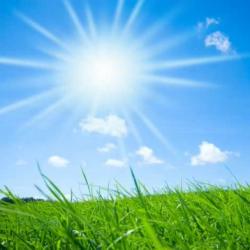 User Profile: 1CaliforniaSunshine