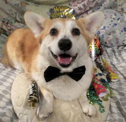 User Profile: coconutshark2