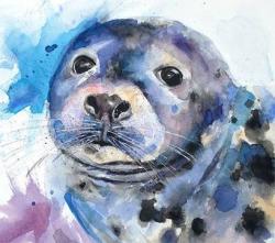 User Profile: brightSeal15