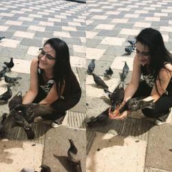 Profile: everythigsk