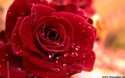User Profile: Eve2323
