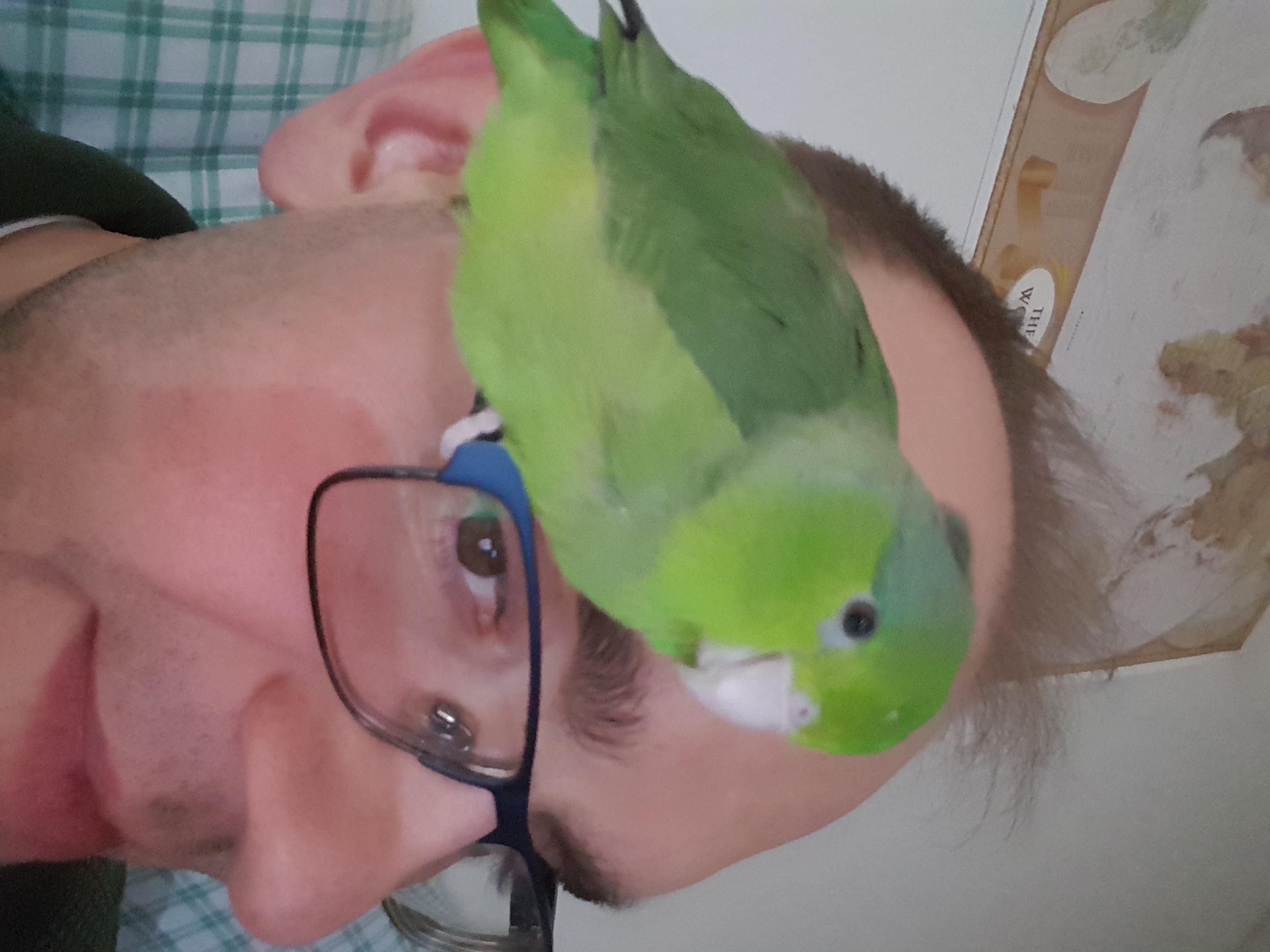 User Profile: Lyall