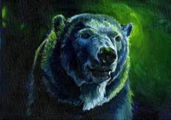 Knute profile picture