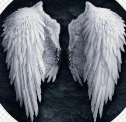 Profile: Lostisbeautiful