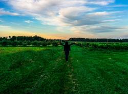 User Profile: perfectresonance