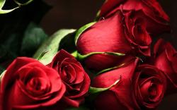 User Profile: charmingLight85