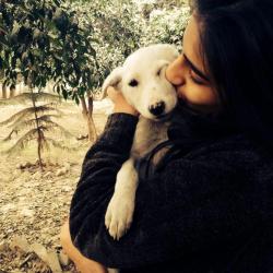 User Profile: Ahang