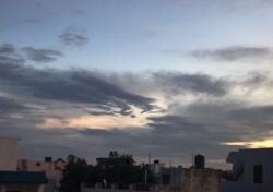 Profile: juhirashOA