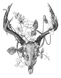 User Profile: lamentingWendigo