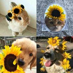 User Profile: MissGenerosity