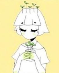 User Profile: aflowerbud