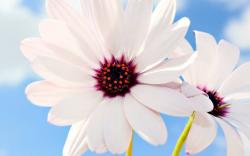 User Profile: Serena86