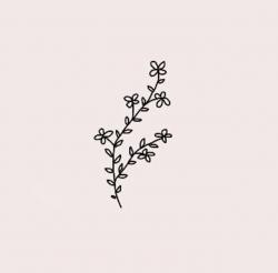 User Profile: Coffeandcats