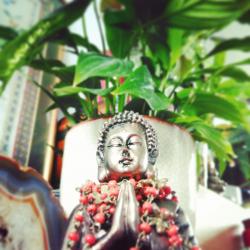 User Profile: happytolisten12