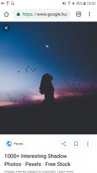 User Profile: WhiteTulip11