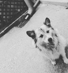 User Profile: littleHelper252