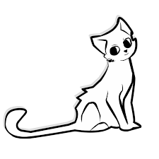 User Profile: CrazyKitty02