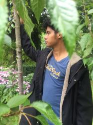 User Profile: YugureHasu