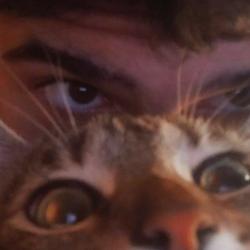 User Profile: bazinga22