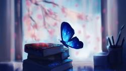 User Profile: butterflyPessimist