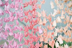 User Profile: LittlePaperCranes