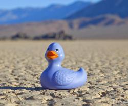 User Profile: desertDuck
