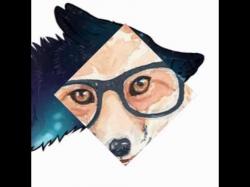 User Profile: daltoid