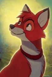 User Profile: CurtTheTinyFox