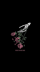 User Profile: LostConstellation