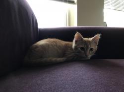User Profile: Sayleigh