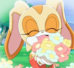 User Profile: Creamthebunny1