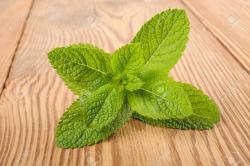 User Profile: mintsprig