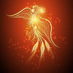 Profile: soaringphoenix