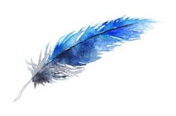 User Profile: bluequillwriter