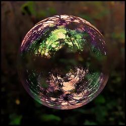 User Profile: Skybubble