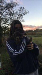Profile: darceymains