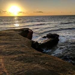 User Profile: BrynleeHolm