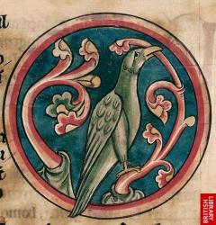User Profile: Derkarus47